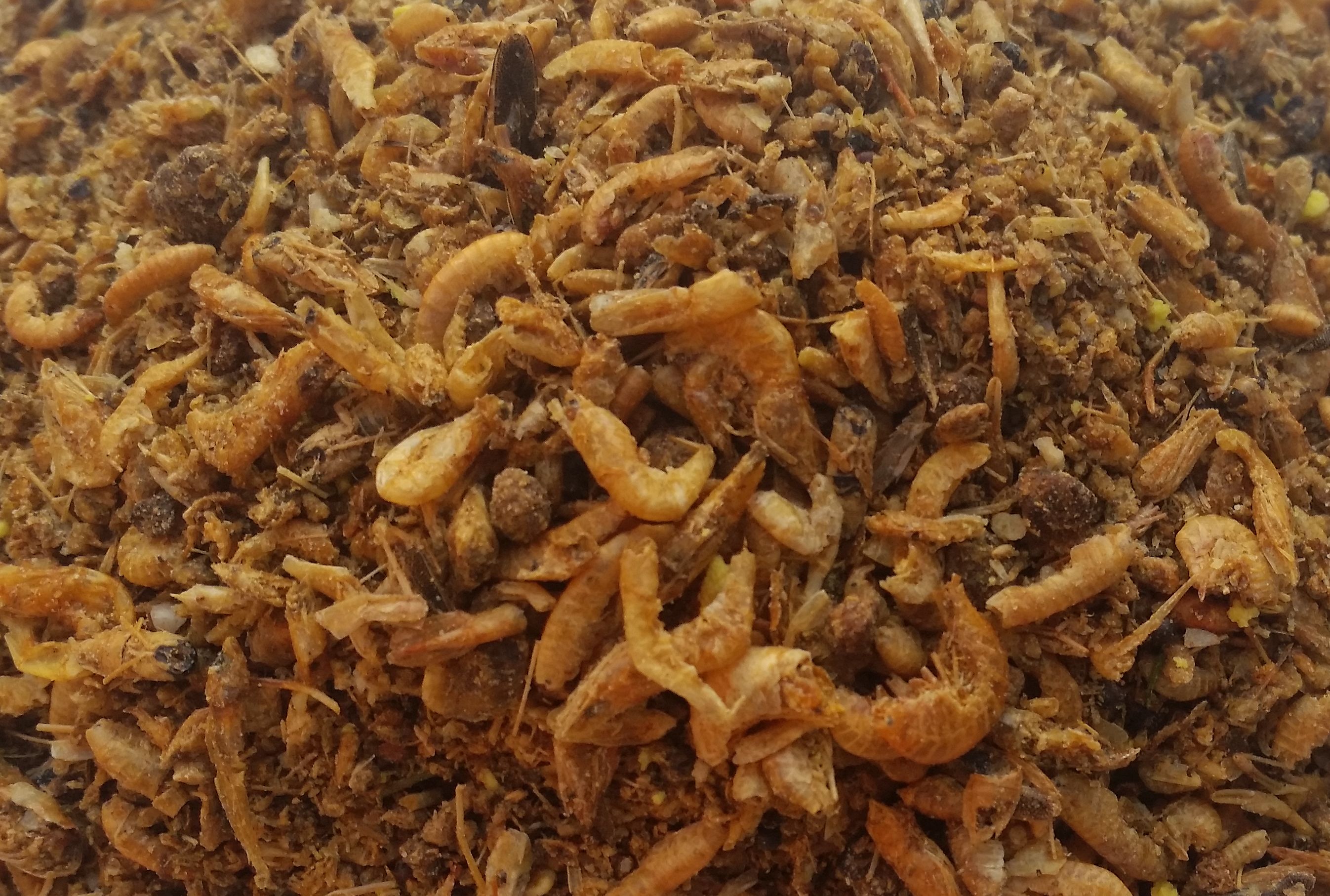 Mega Insect 1kg